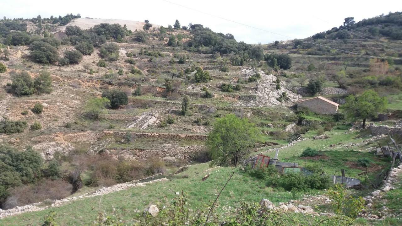 הוילה מורייה Casa Rita מראה חיצוני תמונה