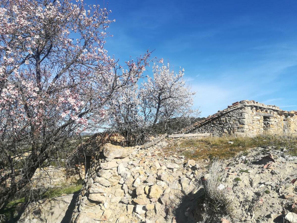הוילה מורייה Casa Rita מראה חיצוני תמונה